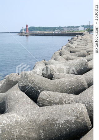 Tetrapod Tetrapod 1630812