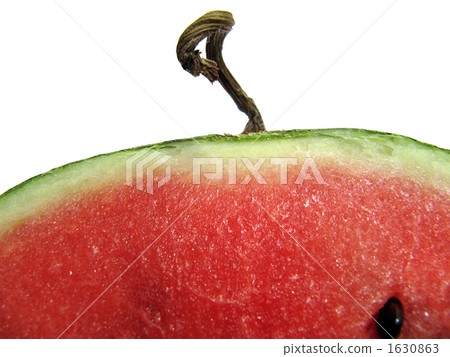 watermelon   1630863