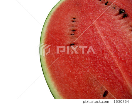 watermelon   1630864
