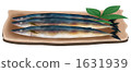 烤秋刀魚 梭魚 針魚 1631939