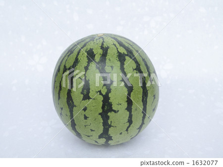 watermelon watermelon 1632077