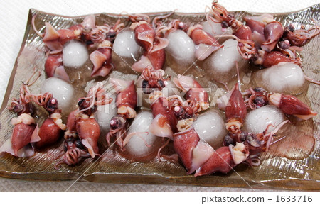 螢火蟲魷魚 螢火魷 水煮 1633716