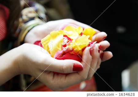 Wedding Flower Shower Wedding Flower Shower 1634628