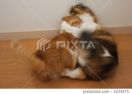 Lots of plenty Lots of plenty 1634875