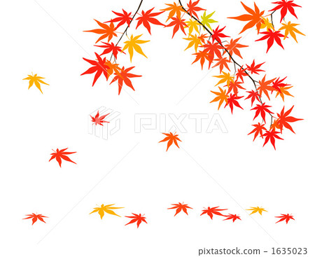 落秋葉 1635023