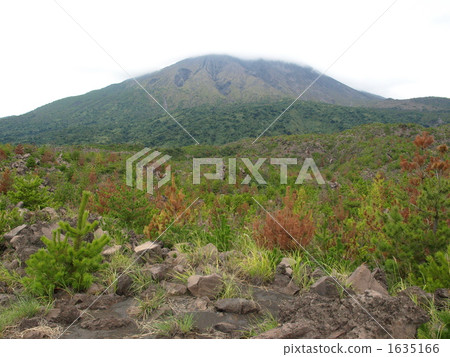  "Sakurajima Desired from the Omura Lava Observatory" 1635166
