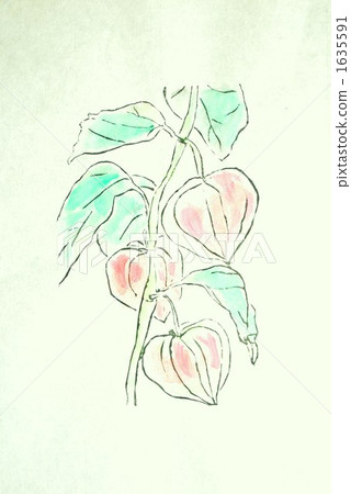 Winter Cherry, woodcut, woodblock painting 1635591