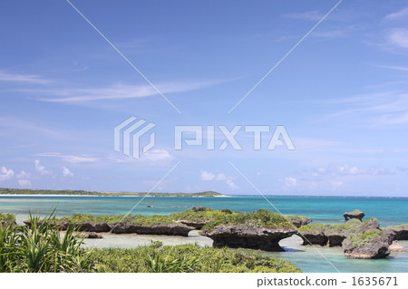 Panari Island 1635671