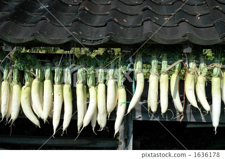 掛蘿蔔的農民 1636178