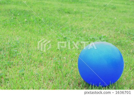 彩球 球 草地 1636701