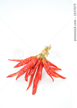  紅辣椒 1637075