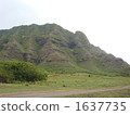 Kualoa Ranch 1637735