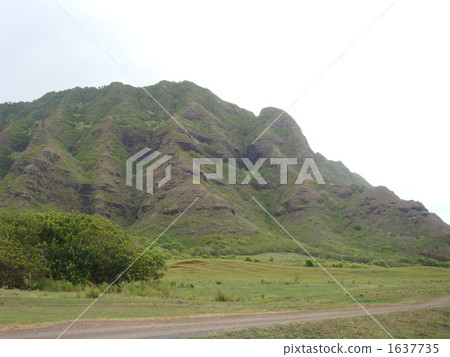 Kualoa Ranch 1637735