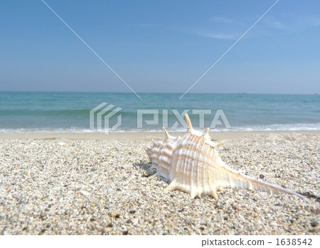 Himehime naikai 1638542