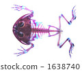 Transparent specimen of Malm Tapioca frog 1638740