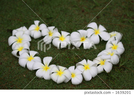 Heart shaped pull media 1639201