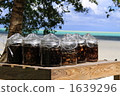 Noni noodles 1639296