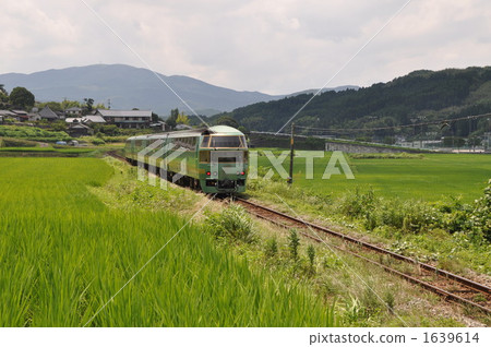 Yufuin no Mori Yufuin no Mori 1639614