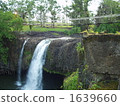 paronella park, suspension bridge, waterfall 1639660
