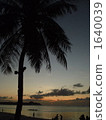 Dusk of Guam 1640039
