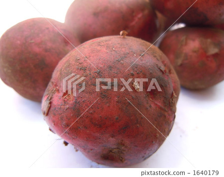 Andean Red Andean Red 1640179