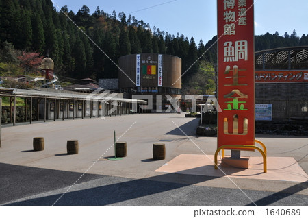 Taiyun Jinshan 1640689