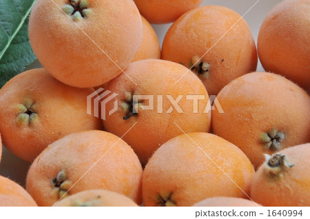 Loquat Loquat 1640994