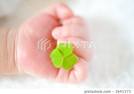 寶寶的手和三葉草 寶寶的手和三葉草 1641573