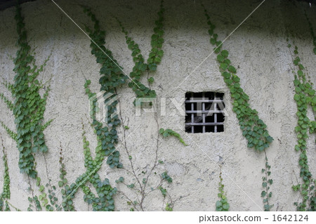 Vine and clay wall Vine and clay wall 1642124