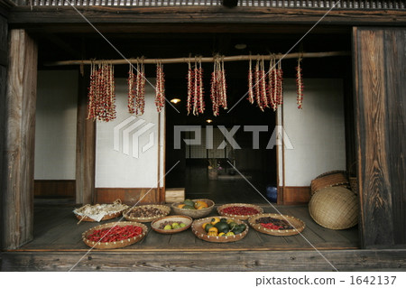 Preparation for winter 1642137