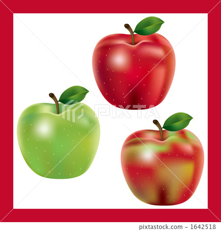Real apple illustration 1642518