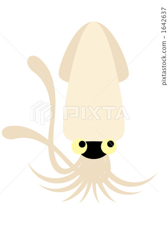 vector, vectors, squid 1642637