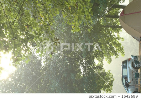 It is the scenery of the morning of the campground 1642699