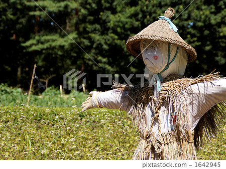scarecrow 1642945
