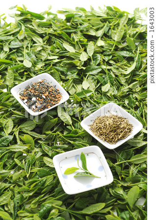 茶葉 1643003