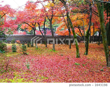 Fallen leaf message Fallen leaf message 1643198