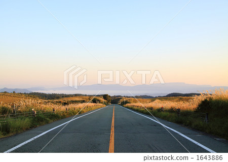 roadway, country road, rural road 1643886