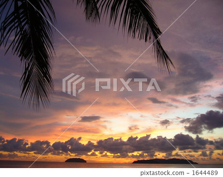 sunset, coconut palm, island 1644489