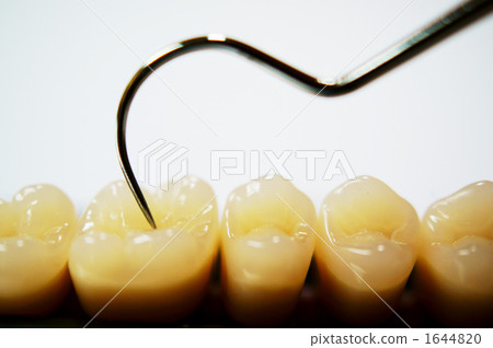 artificial tooth, prosthetic tooth, teeth 1644820