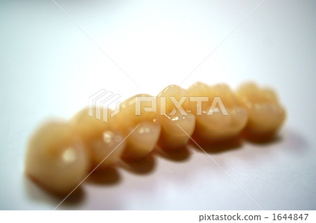 Artificial tooth 1644847