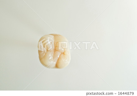 Ceramic Crown Ceramic Crown 1644879