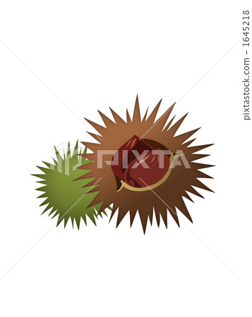 薩基板栗 1645218