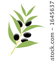 Illustration olive 1645637