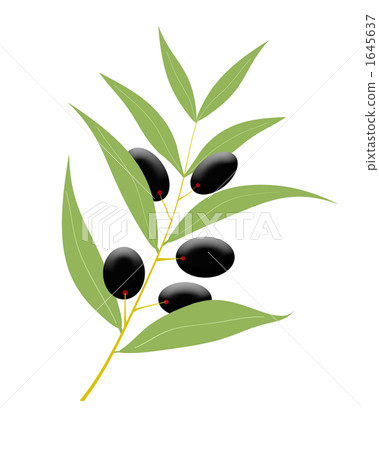 Illustration olive Illustration olive 1645637