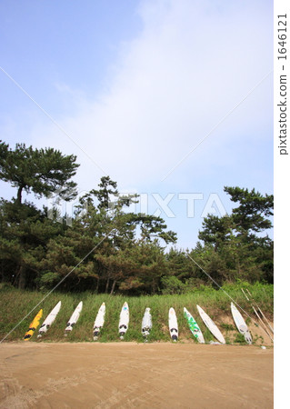 surfboard, surfboards, surf board 1646121