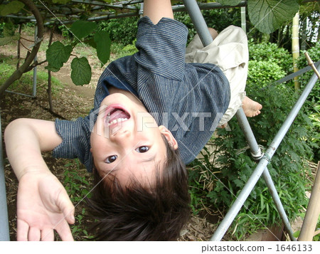 hanging down, boy, grinning 1646133