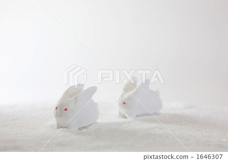 Rabbit Rabbit 1646307
