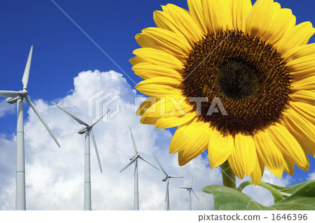 向日葵和風力發電和出云云 向日葵和風力發電和出云云 1646396