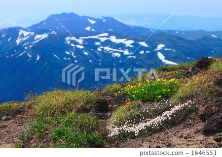 從Asahidake Tomurashi查看 1646551