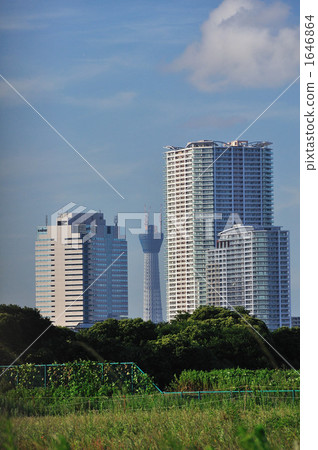 天空樹 1646864